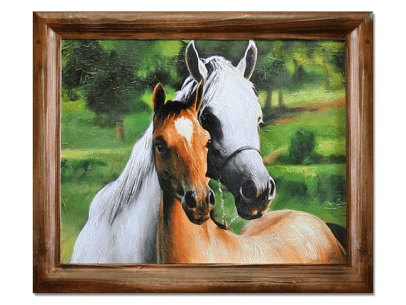 Tierwelt & Stillleben
